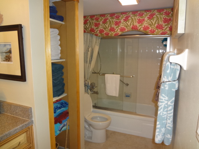 Guest Bath
