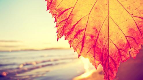 a-autumn_at_the_beach-888395