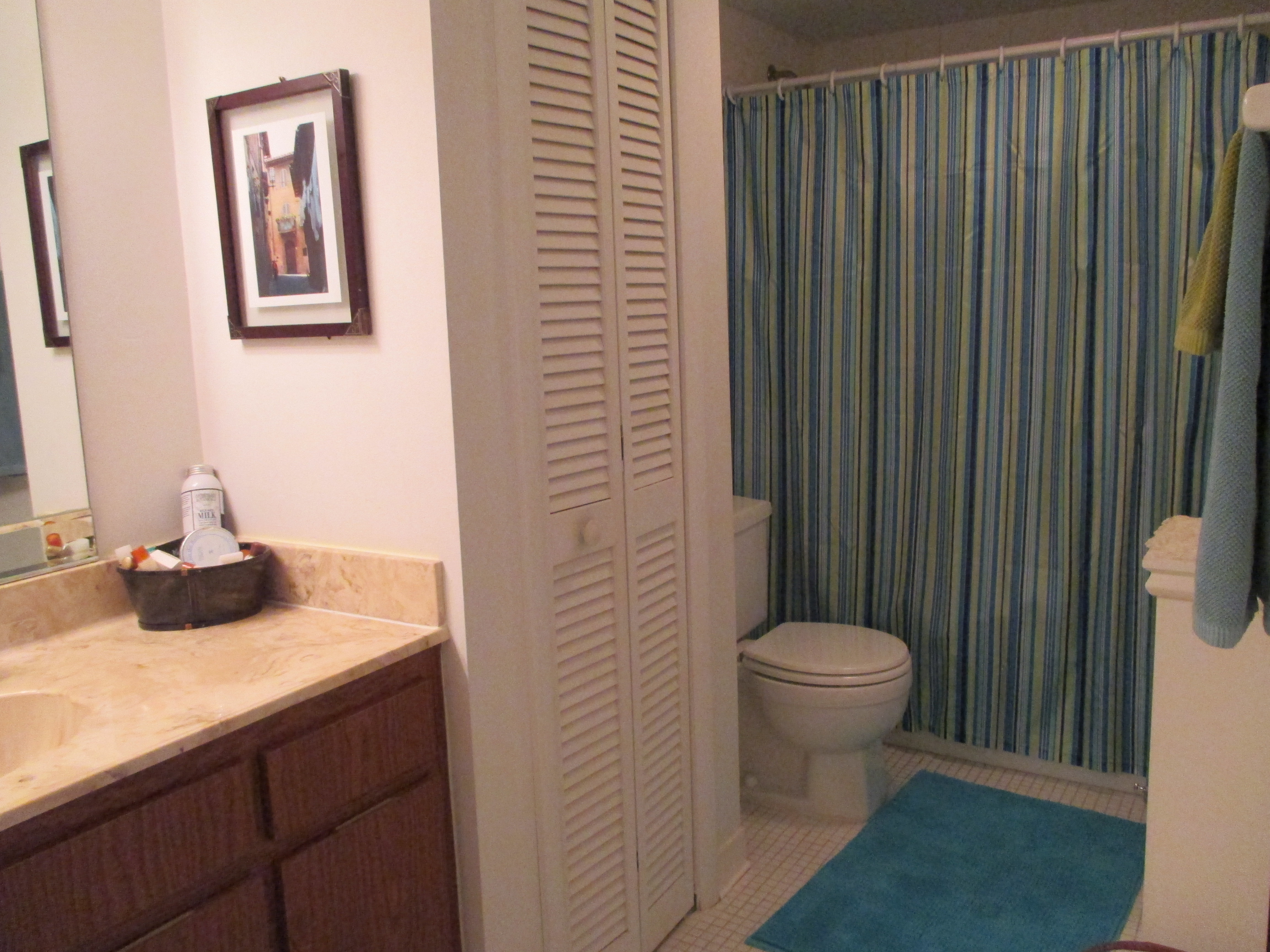copy77_Guest Bathroom