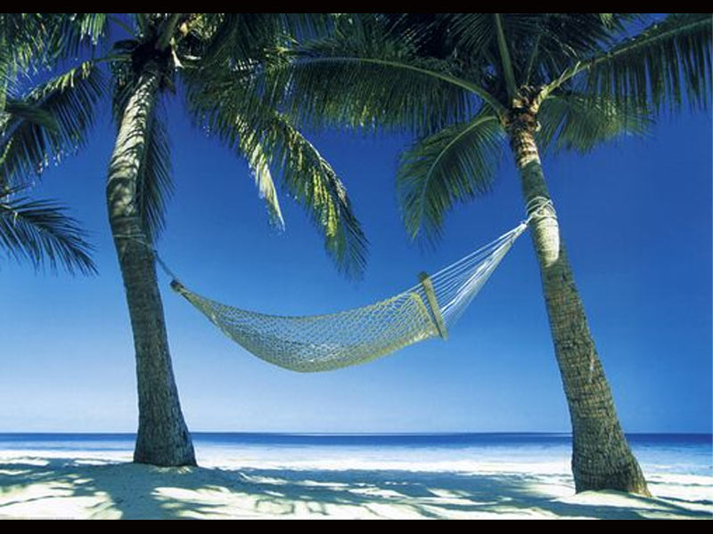 Relaxing in a Hammock